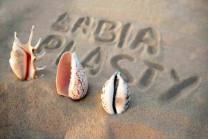 Vagina-shaped seashell on the background of the inscription labiaplasty