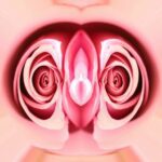 A photo of two pink roses has been photo edited to look like female reproductive organs.